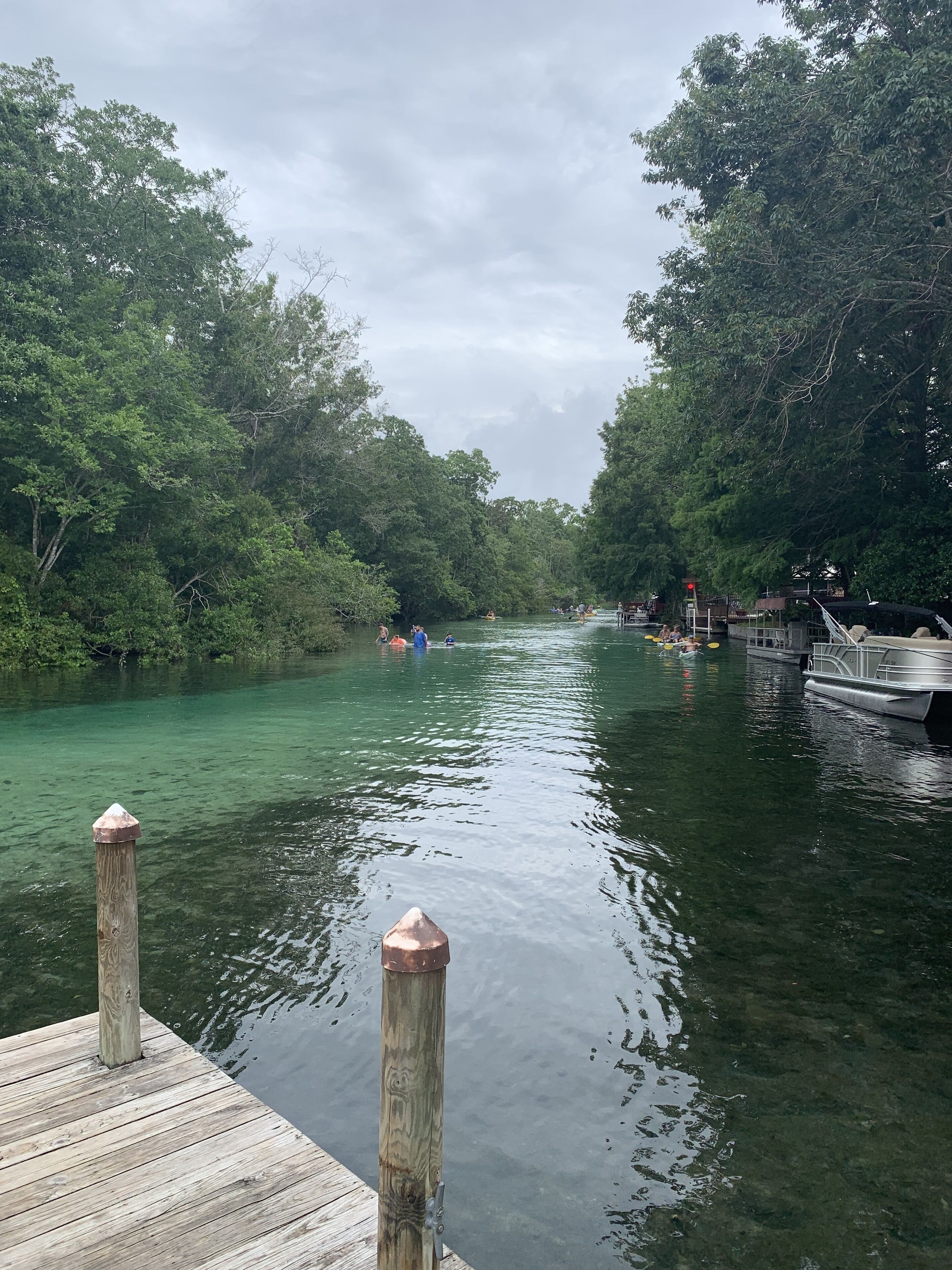 Um rio calmo com águas cristalinas, rodeado por árvores verdes e densas.