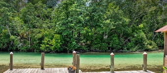 2/2 CABIN Directly on the Weeki Wachee River, Kayaks and a Canoe for Family Fun!