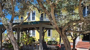 A covered outdoor seating area with benches and tables, surrounded by trees and a building with yellow walls. - Dunes, Daisies, Surf, Sand, Sunsets...Historic BUTLERHOUSE,  Pass-a-Grille (St. Pete  Beach)
