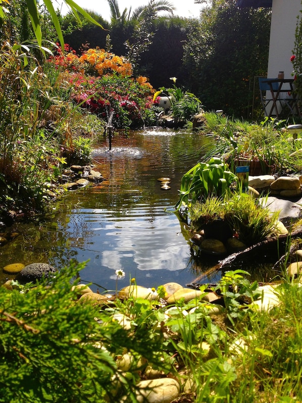 Terrain de l’hébergement