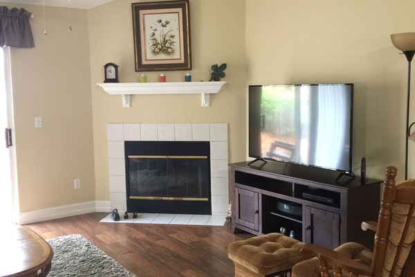 Televisión, chimenea, reproductor de DVD y estéreo