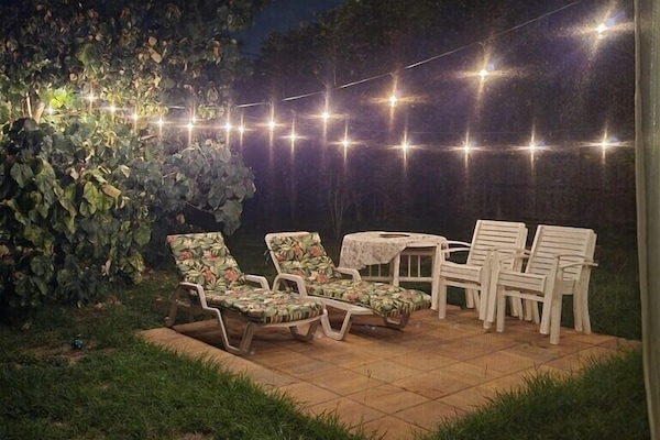 Backyard at Night