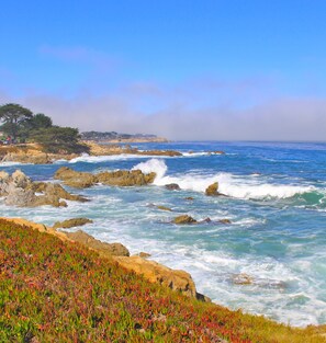 A coastal landscape with rocky shores, waves crashing against the rocks, and a clear sky.