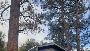 Uklassifisert bilde, 2 av 36, knapp