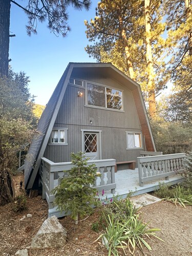 Cozy up in our cabin. We have Starlink and a wood stove!