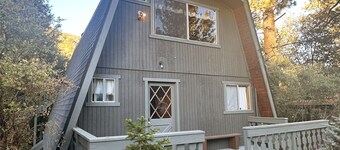 Cozy up in our cabin. We have Starlink and a wood stove!