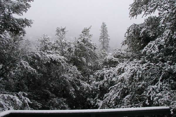 Winter view from the top deck~