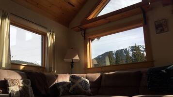 TV, DVD player, livros, biblioteca musical