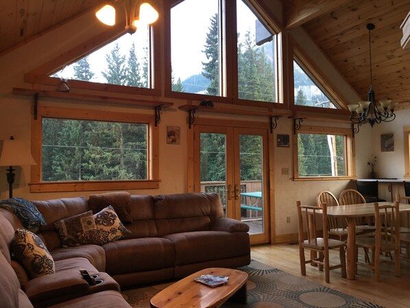 TV, DVD player, books, music library