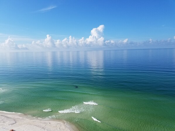 A clear view of a beach with calm waters and a sandy shore. - Unique, Elegant And Beautiful 17th Floor Condo At Emerald Isle (Panama City Beach)