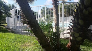 A gated area with a pool, surrounded by palm trees and grass. - LP1A is a Great Coastal Condo in the heart of Port Aransas (Port Aransas)