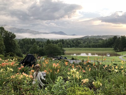 Our Slice of Heaven with view & pond in North Pickens near Table Rock State Park