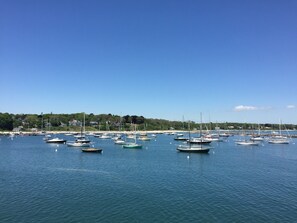 Marina - VH Bright and Airy Cottage - walking distance to downtown and beach (Tisbury)