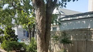 A residential backyard with a tree, a wooden fence, and a concrete pathway. - Charming Beach block getaway! Leave your sheets, towels at home! You're on VACA! (Brigantine)