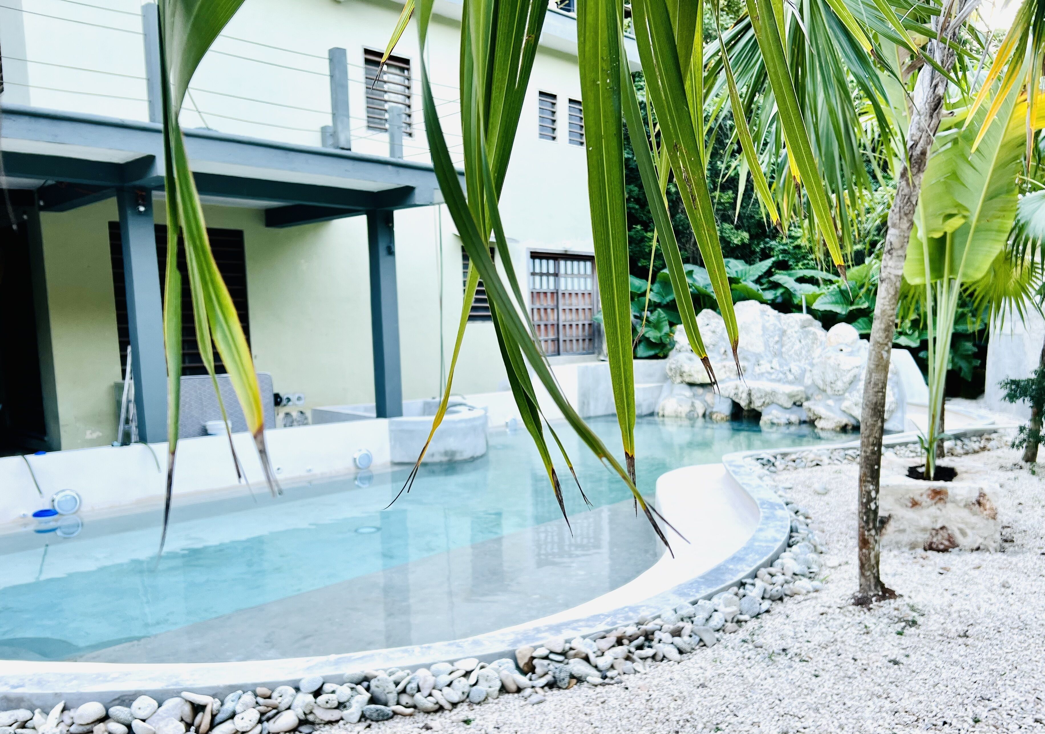 A pool area with a clear water surface, surrounded by rocks and palm trees.