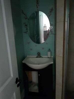 Bathroom sink - Andros Treazure (Staniard Creek)