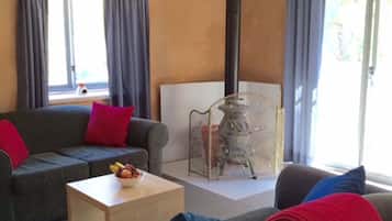 Chimenea, reproductor de DVD y videoteca