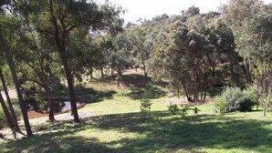 A grassy outdoor area with trees and a small water feature.