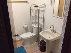 Bathroom with toilet, sink, and trash bin, featuring a small potted plant and blue bath mat.