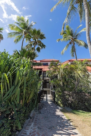A pathway leading to a building with a red roof, surrounded by lush greenery and palm trees.
