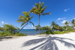 A beach with palm trees and clear blue sky.