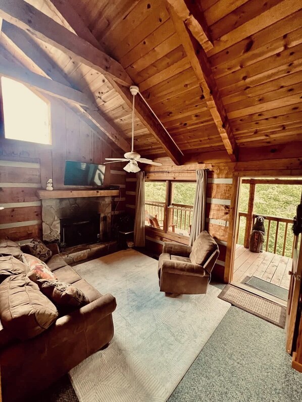 TV, fireplace, DVD player