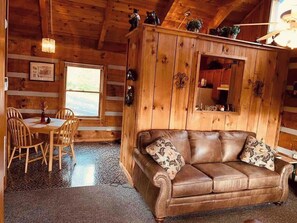 TV, fireplace, DVD player