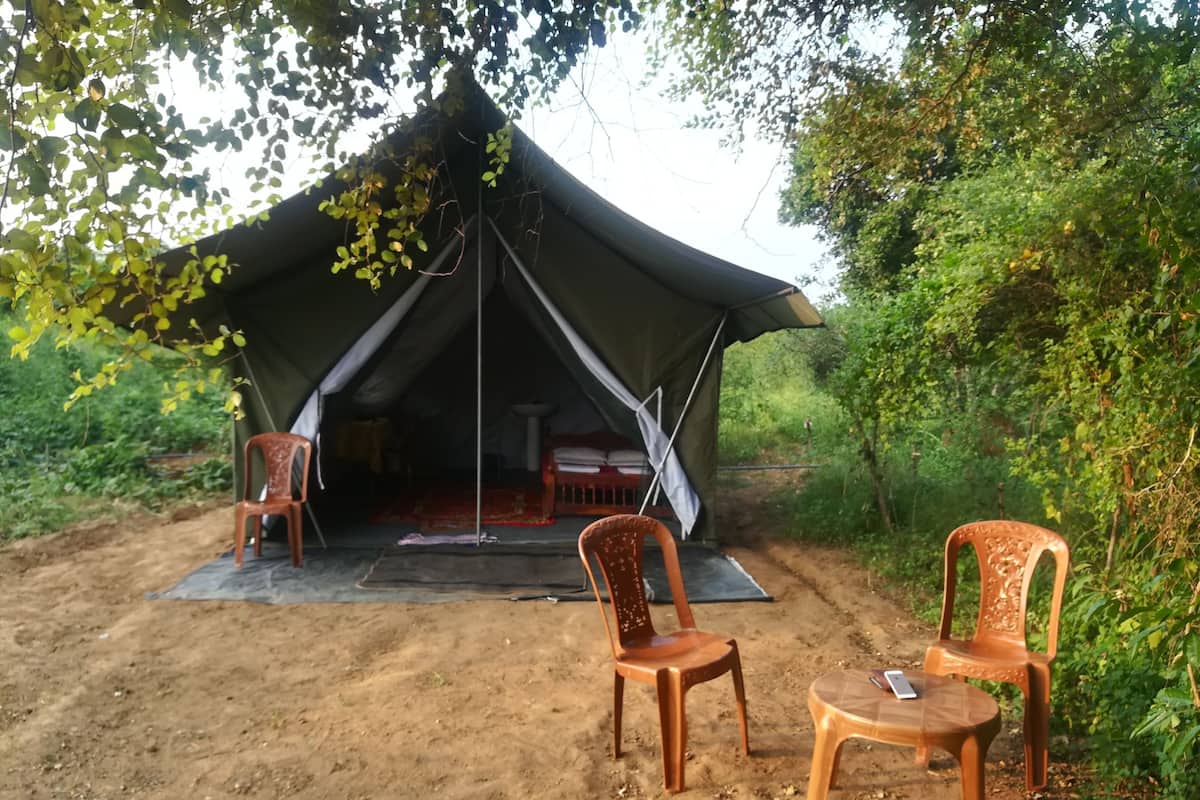 Premier-Zelt, 1 Schlafzimmer (with Safari) | Zustellbetten, Bettwäsche
