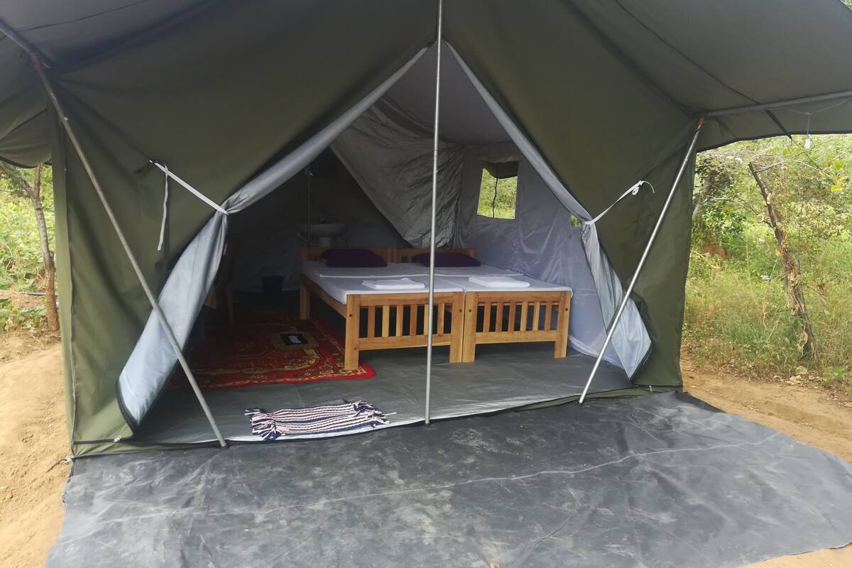 Basic Tent | View from room