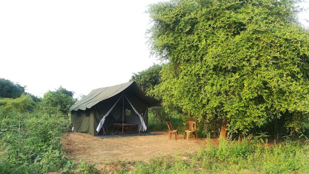 Land view from property - Wild eco safari (Thissamaharama)