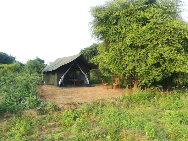 Land view from property - Wild eco safari (Thissamaharama)