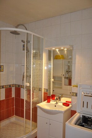 Regadera y secadora de cabello 
