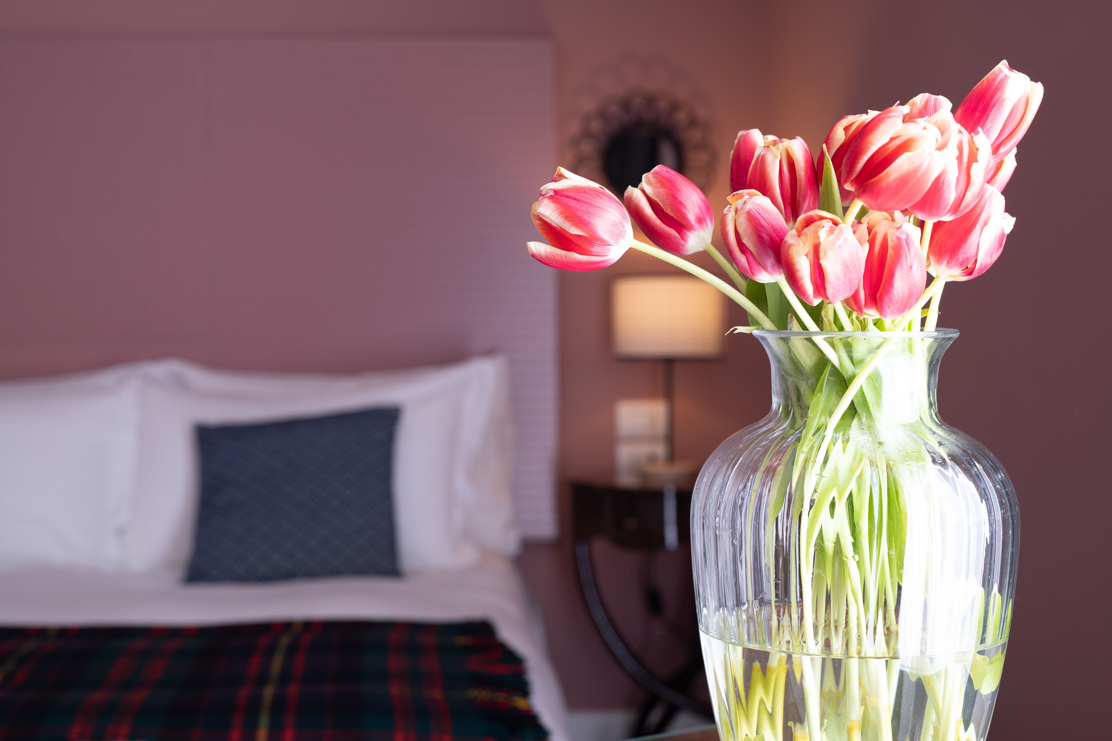 A clear view of a bed with white linens and a plaid blanket, a bedside table with a lamp, and a vase with pink tulips.