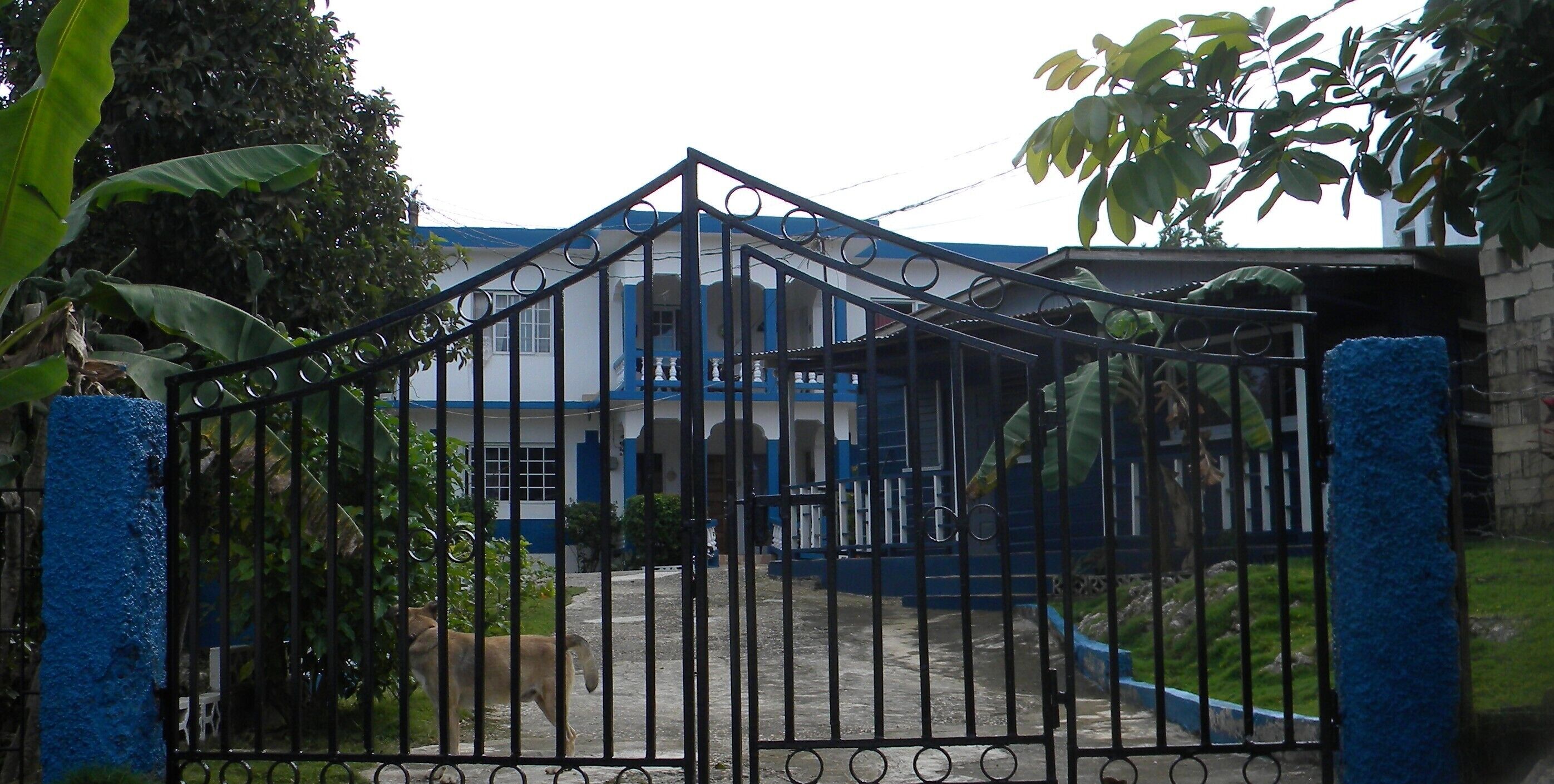 A gated entrance to a building with a blue and white facade, surrounded by greenery.