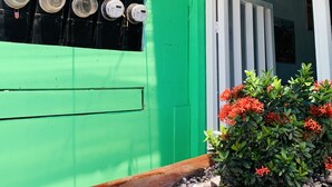 A green exterior wall with four meters, a white door, and a planter with red flowers. - Lapa Verde Lodge (Jacó)