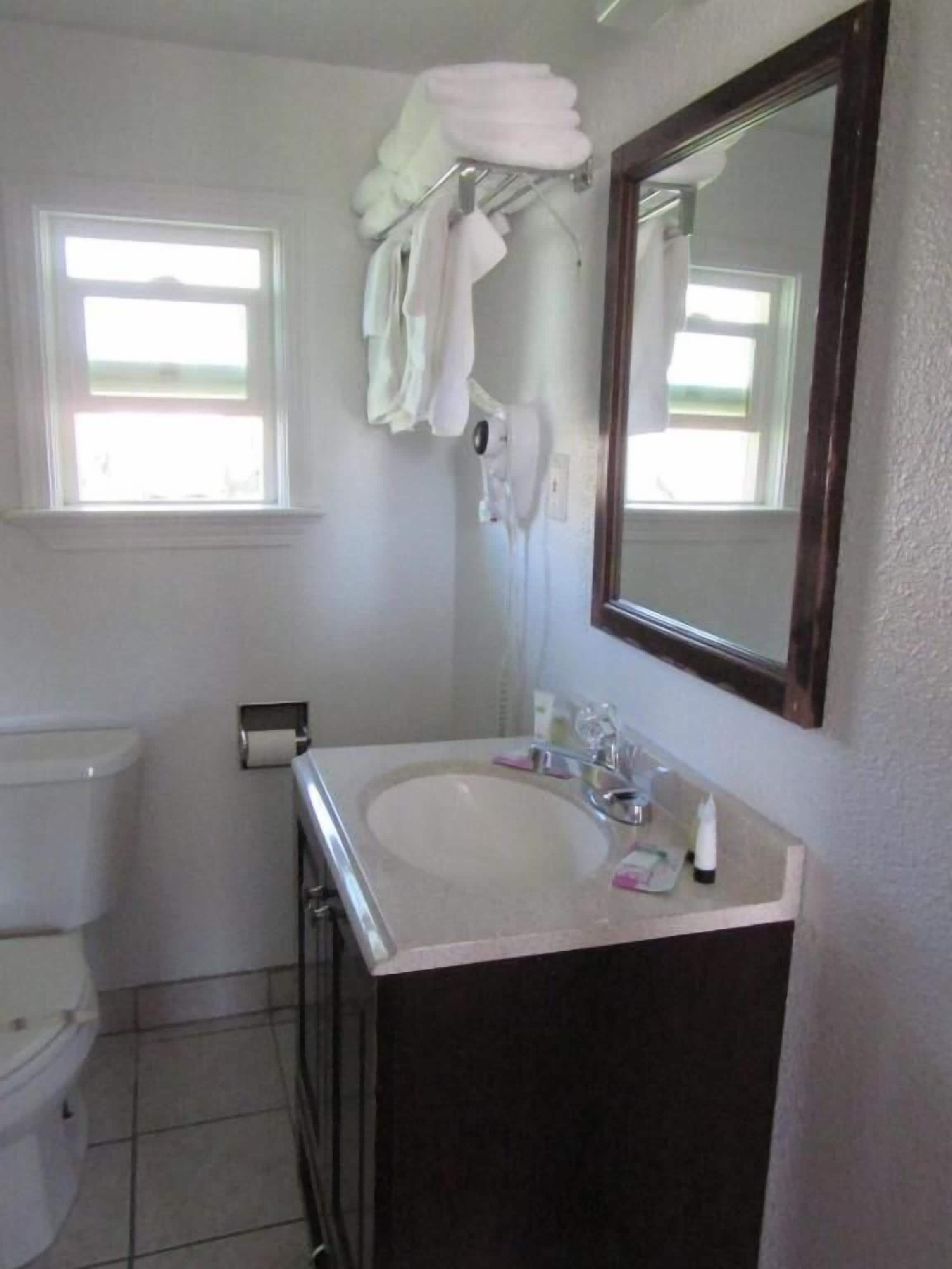 A bathroom with a toilet, sink, and towel rack.