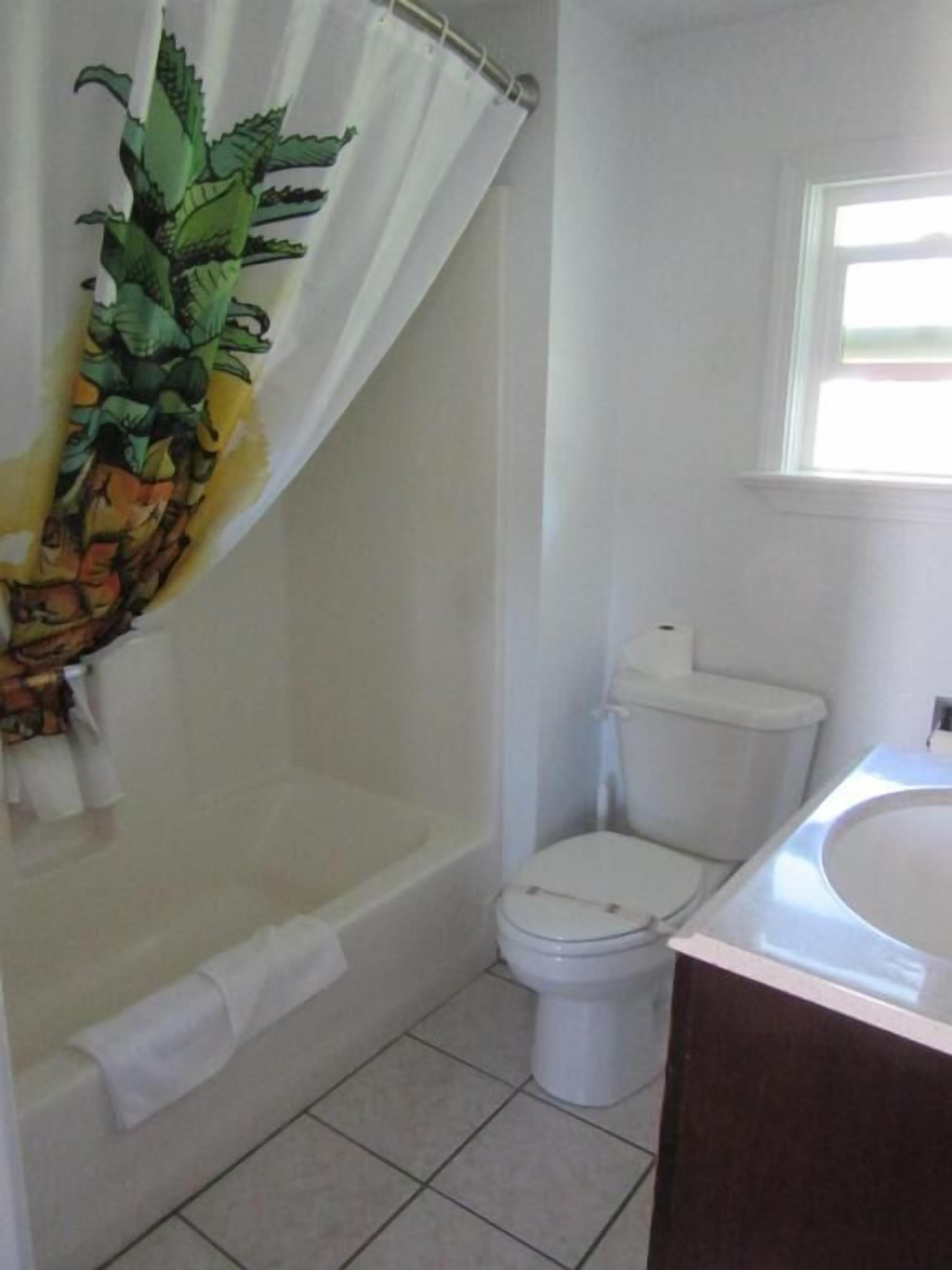 Un baño con cortina de ducha, inodoro y lavamanos.