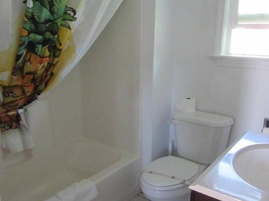 Une salle de bain avec un rideau de douche, des toilettes et un lavabo.