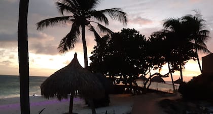 Aruba Harmony Apartments