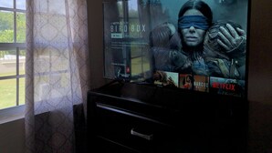 Ein Fernseher mit einem Filmplakat für 'Bird Box' auf einem schwarzen Ständer in einem Raum mit gemusterten Vorhängen und einem Fenster.