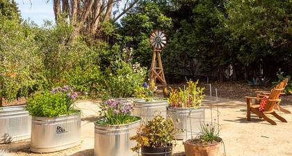 Escape to Sebastopol's charm, near The Barlow. We love Dogs!