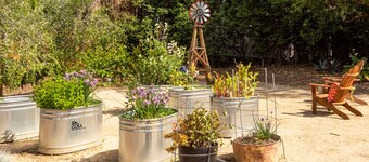 Escape to Sebastopol's charm, near The Barlow. We love Dogs!