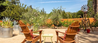 Escape to Sebastopol's charm, near The Barlow. We love Dogs!