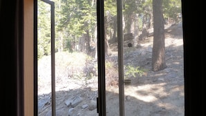 Ein Fenster mit Blick auf eine bewaldete Gegend, Bäume und einen Feldweg.
