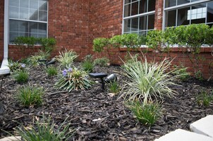 A landscaped garden with various plants and shrubs, a brick building with windows, and a small black table.