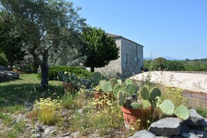 Área da propriedade