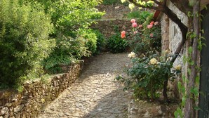 Property grounds - Living sorrouded by vineards in Douro (Gestaco)
