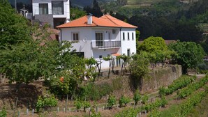 Exterior - Living sorrouded by vineards in Douro (Gestaco)