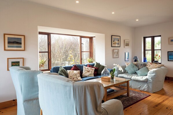 Smart TV, chimenea, reproductor de DVD y libros 