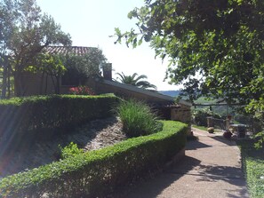 Property grounds - In the green hills of Abruzzo, a stone's throw from the sea ... (San Vito Chietino)